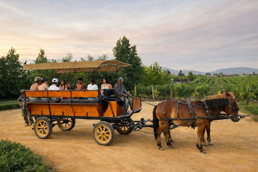 Paseo en carroza por el viñedo de La Sirca