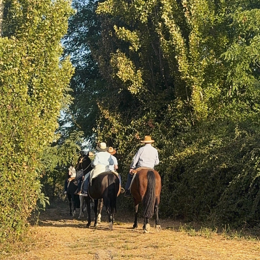 Paseo a caballo entre los viñedos de La Sirca