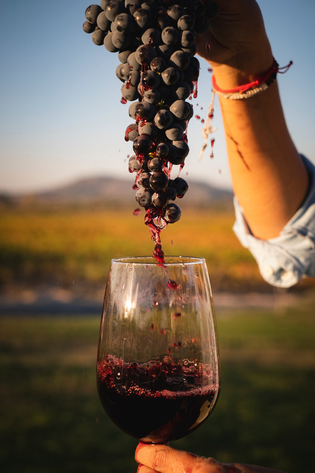 image in image with text