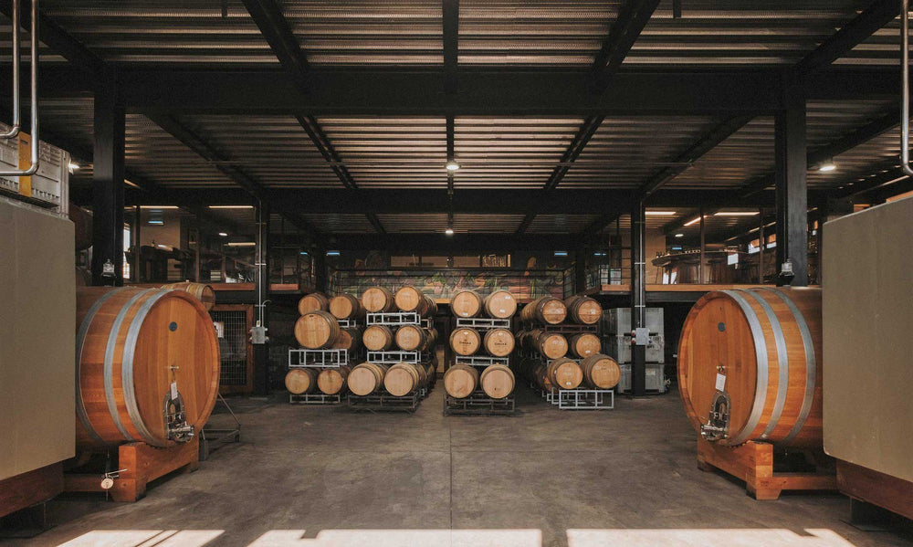 multimedia collage image